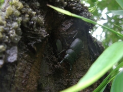 画像003 106 画像003 106