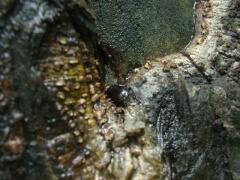 画像003 104 画像003 104