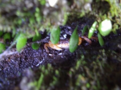 画像003 102 画像003 102