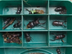 画像003 107 画像003 107