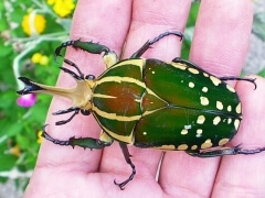 img_20100901T113947046 img_20100901T113947046