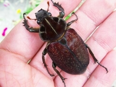 img_20100911T181152093 img_20100911T181152093