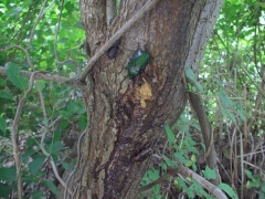 画像003 134 画像003 134