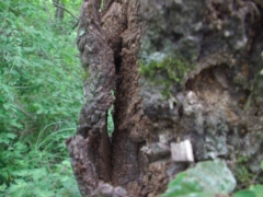 画像003 136 画像003 136