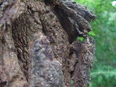 画像003 137 画像003 137