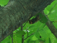 画像003 133 画像003 133