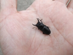 画像003 128 画像003 128