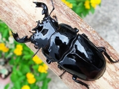 img_20100411T153614296 img_20100411T153614296