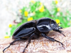 img_20100411T153616328 img_20100411T153616328