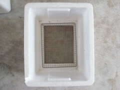 img_20111221T131549781 img_20111221T131549781