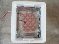 img_20111221T131550375 img_20111221T131550375