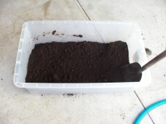 img_20100824T050428359 img_20100824T050428359