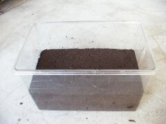 img_20100824T050429765 img_20100824T050429765