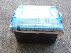 img_20100824T050437953 img_20100824T050437953