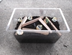 img_20121004T152248031 img_20121004T152248031