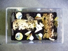 img_20121011T133851140 img_20121011T133851140