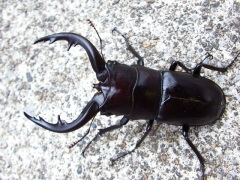 img_20080804T170710125 img_20080804T170710125