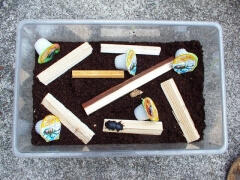 img_20080804T170718375 img_20080804T170718375