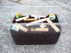 img_20080804T170720968 img_20080804T170720968