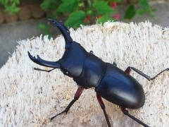 img_20121011T133848406 img_20121011T133848406