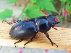 img_20121011T133849312 img_20121011T133849312