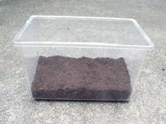 img_20110820T154053875 img_20110820T154053875