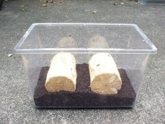 img_20110820T154054875 img_20110820T154054875