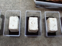 img_20110820T154100281 img_20110820T154100281