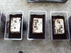 img_20110820T154100906 img_20110820T154100906