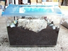 img_20110820T154103250 img_20110820T154103250