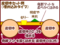 産卵木セット方法 産卵木セット方法